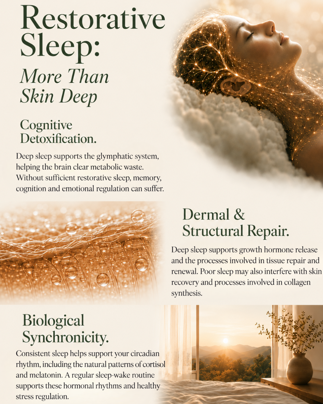 The Serene SKN Co Beauty Pillow