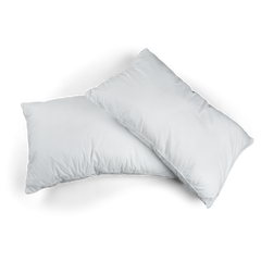 Standard Pillows